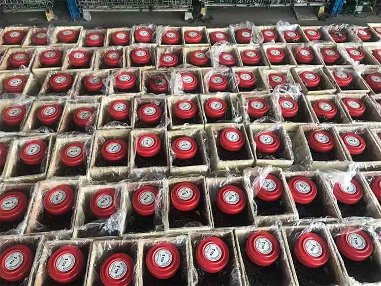  HSZ Type 1-ton Manual Chain Hoist